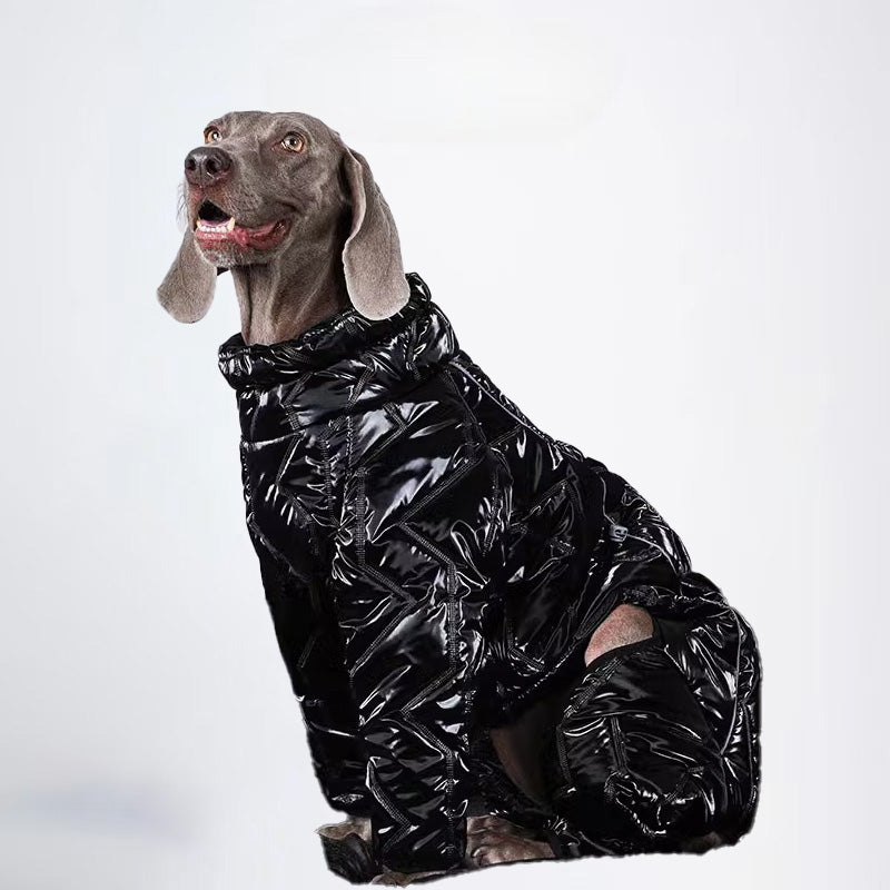 Dogs Clothes Pets Clothes For Winter Allcovered Styled Sweater Styled Deisign Fashion Designer Dogs Clothes