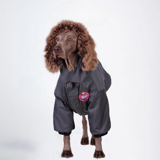 Dogs Jacket Pets Jacket  Dog Cloth Dog Cloth  All Covered Cloth Dog Clothes Dog Jacket Fashion Dog Cloth Fashion Pets Cloth