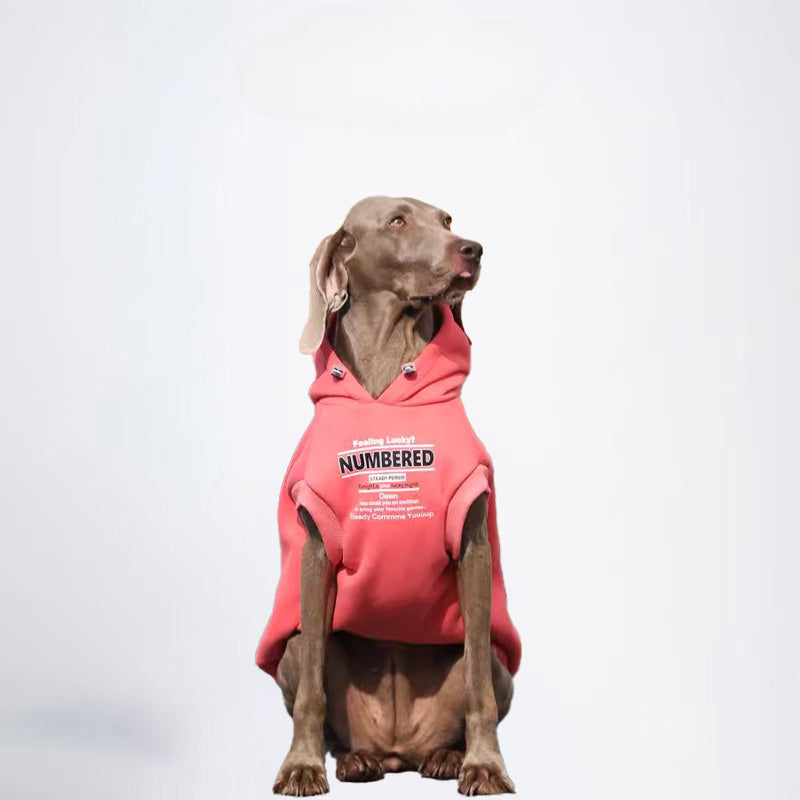 Winter Dogs Green Colored Clothes  Pets Green Clothes Dog Cloth Dog Jacket Dog Jacket Fashion Dog Cloth Fashion Pets Cloth