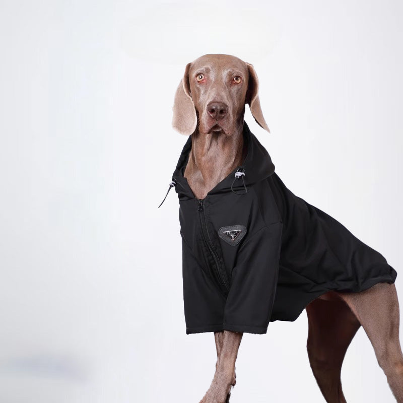Dogs Clothes Pets Clothes Glossy Styled For Winter Allcovered Styled Sweater Styled Deisign Fashion Designer Dogs Clothes