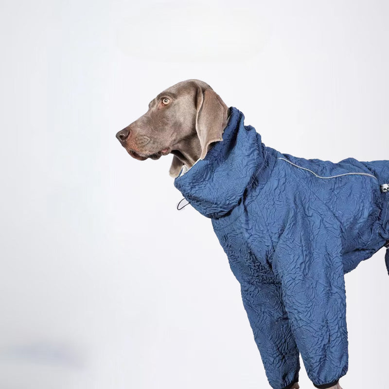 Dogs Clothes Pets Clothes Dogs Sweater Designer Styled For Winter Allcovered Styled jacket Styled Deisign Fashion Designer Dogs Clothes