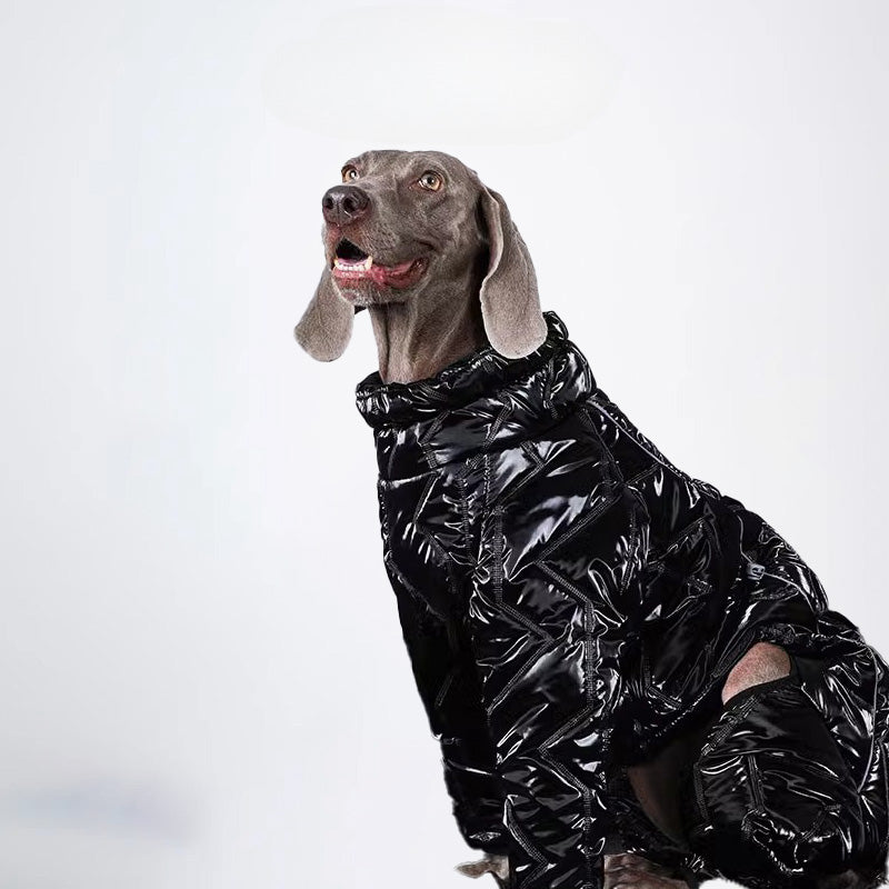 Dogs Clothes Pets Clothes Dogs Sweater Glossy Styled For Winter Allcovered Styled Sweater Styled Deisign Fashion Designer Dogs Clothes