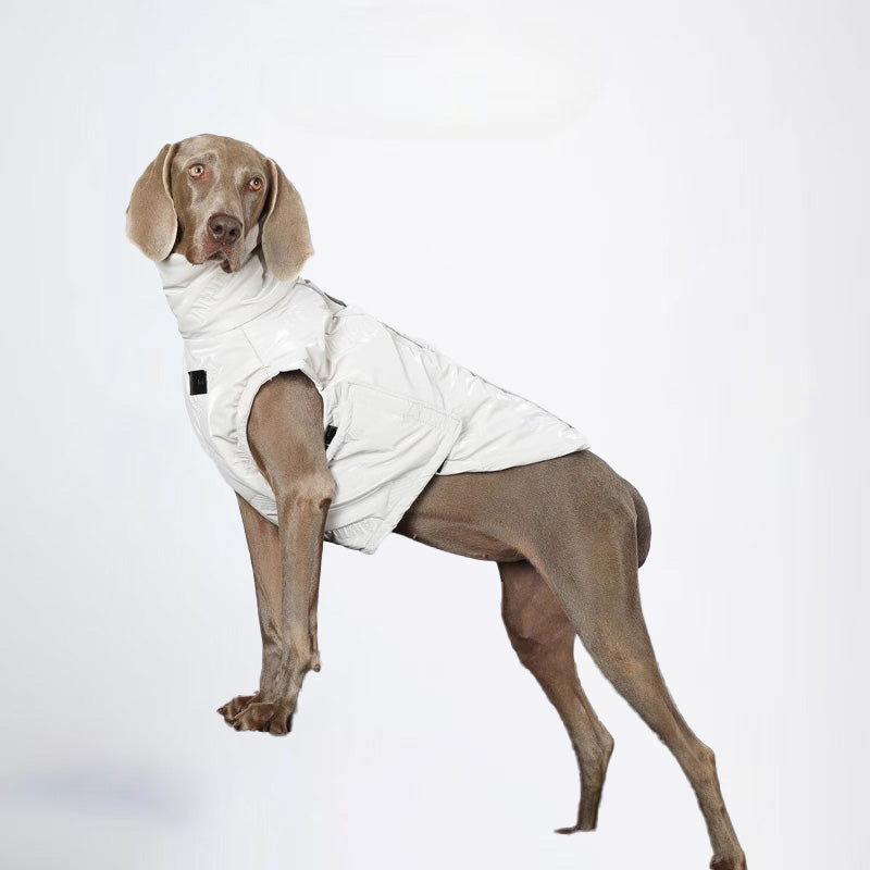 Dogs Clothes Pets Clothes Dogs White Coats For Winter Allcovered Styled Sweater Styled Deisign Fashion Designer Dogs Clothes
