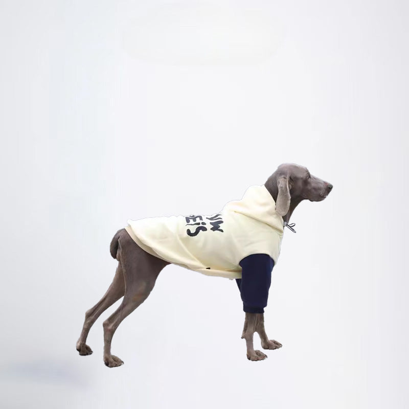 Winter Dogs Dark Brown Blue Clothes  Pets Clothes Dog Cloth Dog Jacket Dog Jacket Fashion Dog Cloth Fashion Pets Cloth