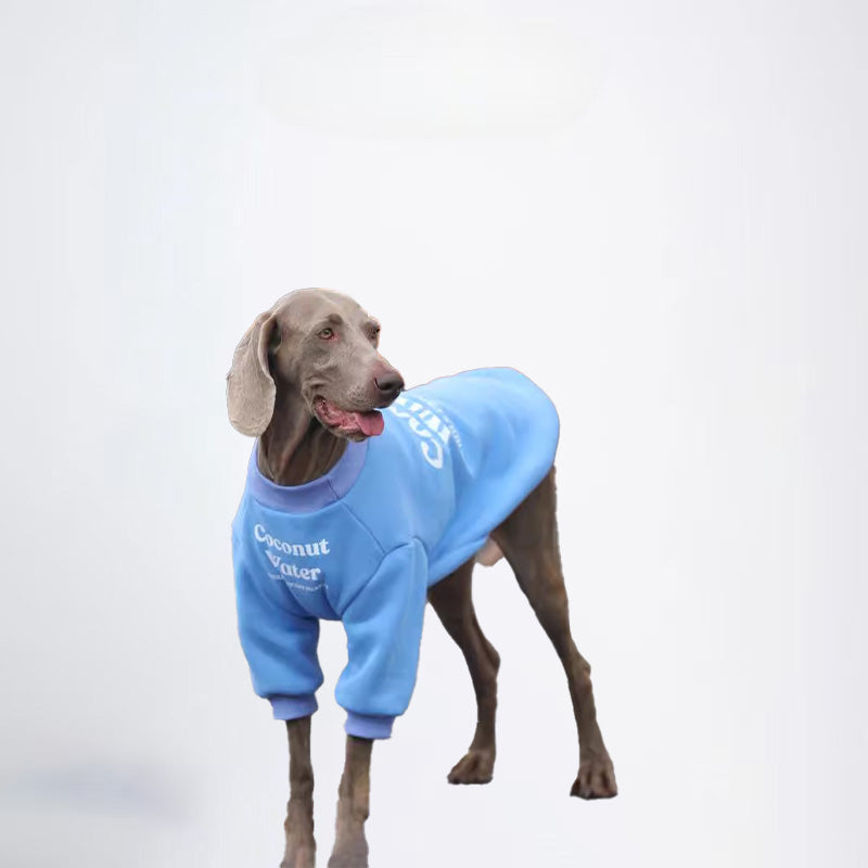 Winter Dogs Blue Colored Clothes  Pets Blue Clothes Dog Cloth Dog Jacket Dog Jacket Fashion Dog Cloth Fashion Pets Cloth