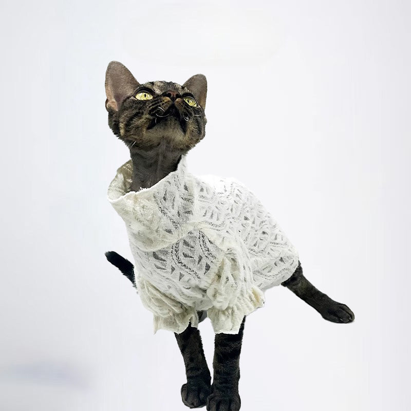 Cats Clothes Pets Cloth Pet Cloth Dog Clothes Choker Sweater White Knitwear For Cats Original Designer Styled Clothing
