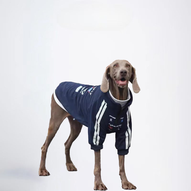Dogs Blue Clothes Pets  Blue Clothes Glossy Styled For Winter Allcovered Styled Sweater Styled Deisign Fashion Designer Dogs Clothes