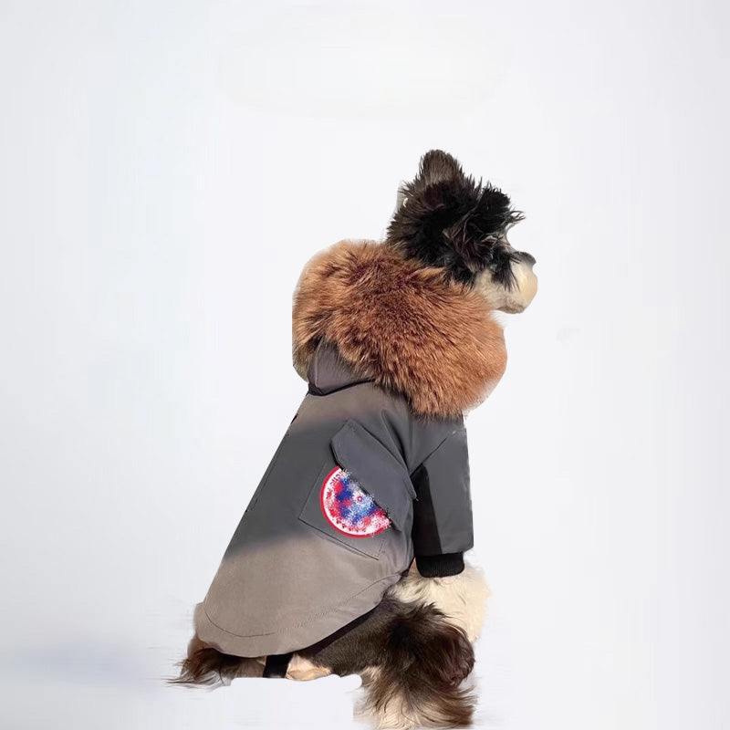 Dogs Jacket Pets Jacket  Dog Cloth Dog Cloth  All Covered Cloth Dog Clothes Dog Jacket Fashion Dog Cloth Fashion Pets Cloth