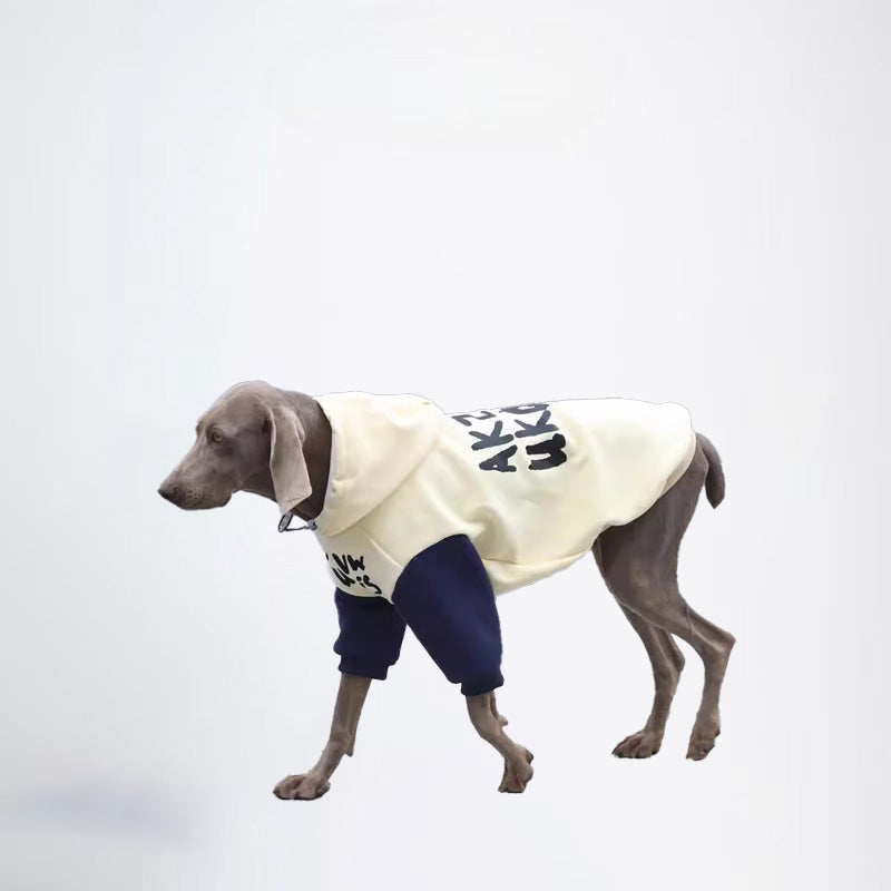 Winter Dogs Dark Brown Blue Clothes  Pets Clothes Dog Cloth Dog Jacket Dog Jacket Fashion Dog Cloth Fashion Pets Cloth