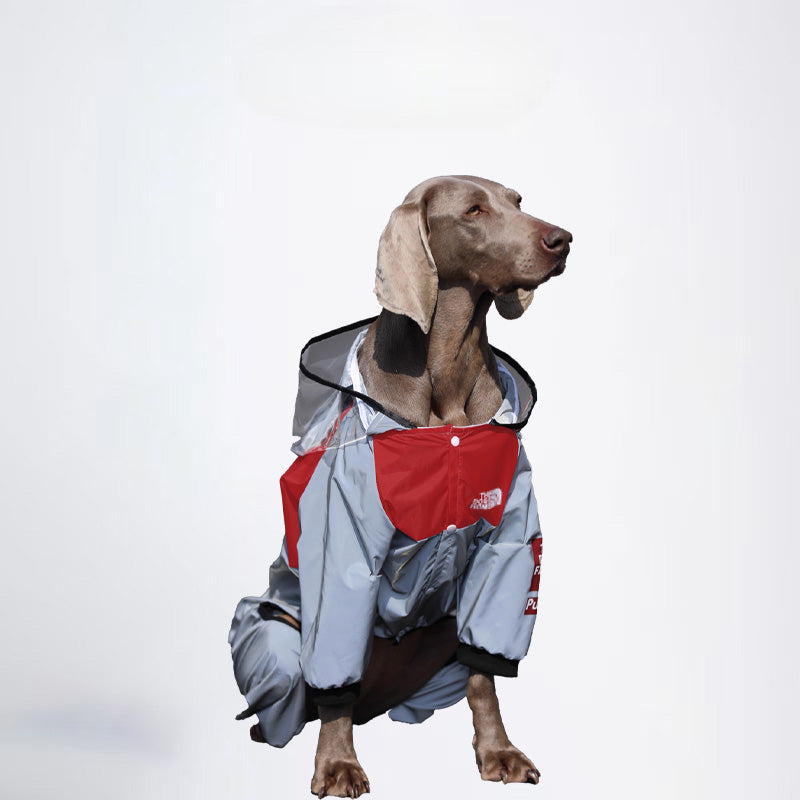 Dogs Raincoat Pets Raincoat Dog Cloth Dog Cloth  All Covered Cloth Dog Clothes Dog Jacket Fashion Dog Cloth Fashion Pets Cloth