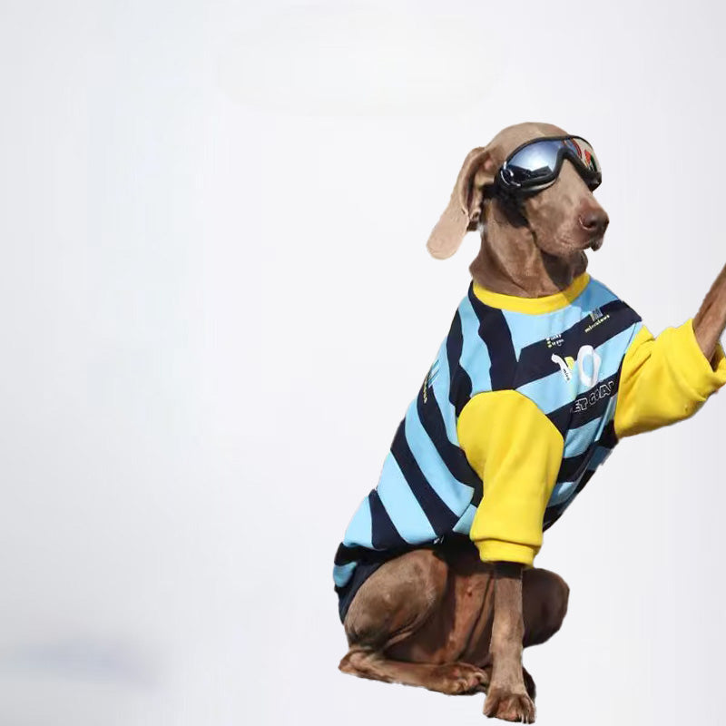 Winter Dogs Clothes Striped Styled Pets Clothes Dog Cloth Dog Jacket All Covered Cloth Blue Black Striped Dog Jacket Fashion Dog Cloth Fashion Pets Cloth