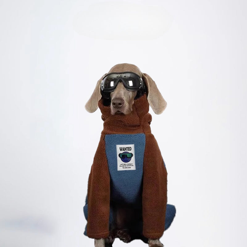 Dogs Clothes Pets Clothes Dogs Jacket Sweater Brown Sweater Winter Dogs Jackets Color All Covered Styled Deisign Fashion Designer Dogs Clothes