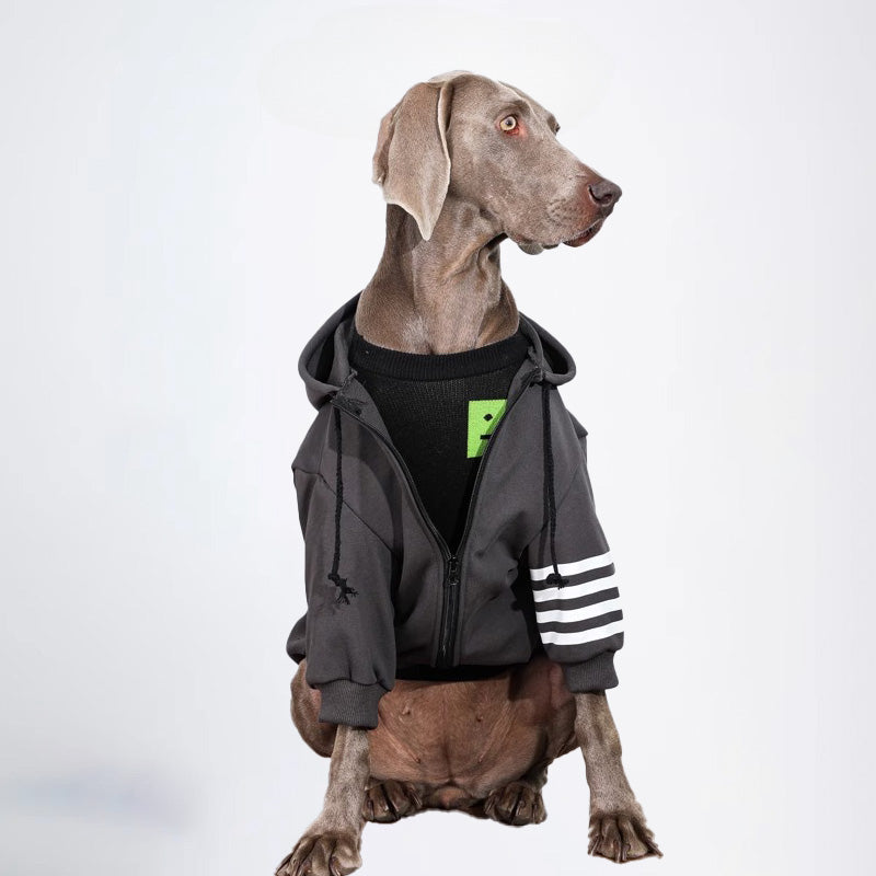 Dogs Clothes Pets Clothes Dogs Hooded Sweater Cardigan Sweater Gray Sweater Winter Dogs Hoddies Color All Covered Styled Deisign Fashion Designer Dogs Clothes