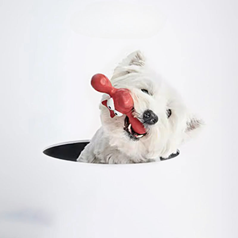 Pets Toys Dog Toys Original Designed Toys For Dogs Ocean Styled Designer