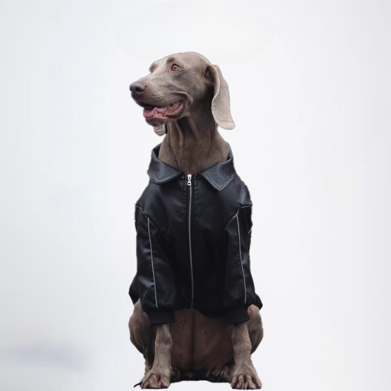 Winter Dogs Black Colored Clothes  Pets Clothes Dog Cloth Dog Jacket Dog Jacket Fashion Dog Cloth Fashion Pets Cloth