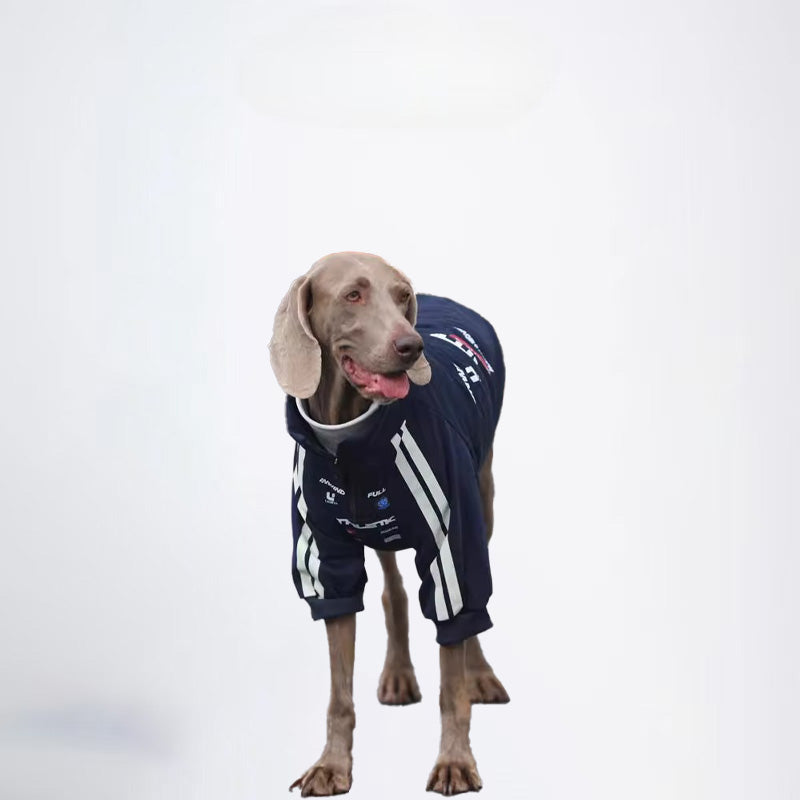 Dogs Blue Clothes Pets  Blue Clothes Glossy Styled For Winter Allcovered Styled Sweater Styled Deisign Fashion Designer Dogs Clothes