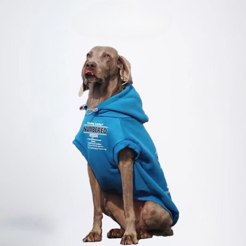 Winter Dogs Green Colored Clothes  Pets Green Clothes Dog Cloth Dog Jacket Dog Jacket Fashion Dog Cloth Fashion Pets Cloth