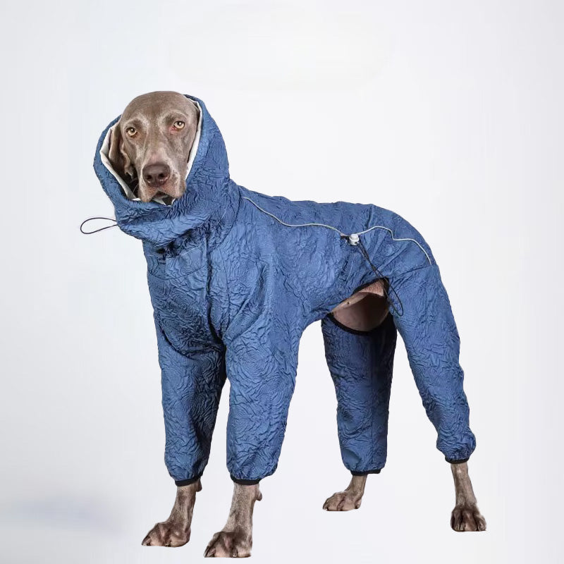Dogs Clothes Pets Clothes Dogs Sweater Designer Styled For Winter Allcovered Styled jacket Styled Deisign Fashion Designer Dogs Clothes