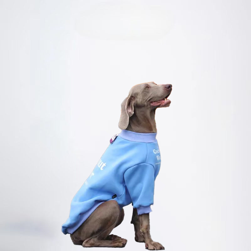 Winter Dogs Blue Colored Clothes  Pets Blue Clothes Dog Cloth Dog Jacket Dog Jacket Fashion Dog Cloth Fashion Pets Cloth