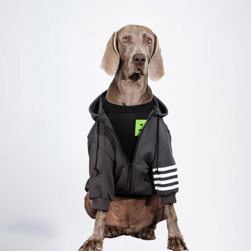 Dogs Clothes Pets Clothes Dogs Hooded Sweater Cardigan Sweater Gray Sweater Winter Dogs Hoddies Color All Covered Styled Deisign Fashion Designer Dogs Clothes
