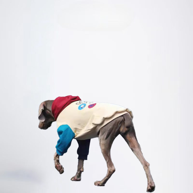 Dogs Yellow Clothes Pets Yellow Clothes Glossy Styled For Winter Allcovered Styled Sweater Styled Deisign Fashion Designer Dogs Clothes