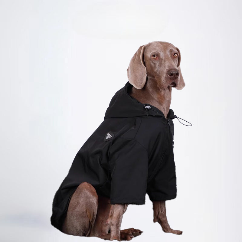 Dogs Clothes Pets Clothes Glossy Styled For Winter Allcovered Styled Sweater Styled Deisign Fashion Designer Dogs Clothes