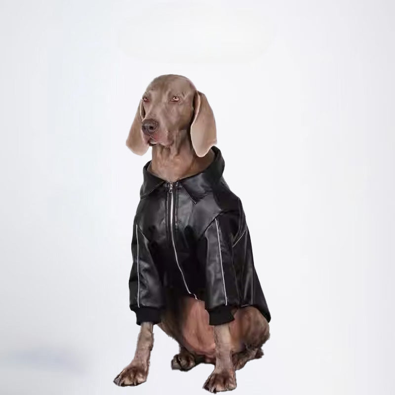 Winter Dogs Black Colored Clothes  Pets Clothes Dog Cloth Dog Jacket Dog Jacket Fashion Dog Cloth Fashion Pets Cloth