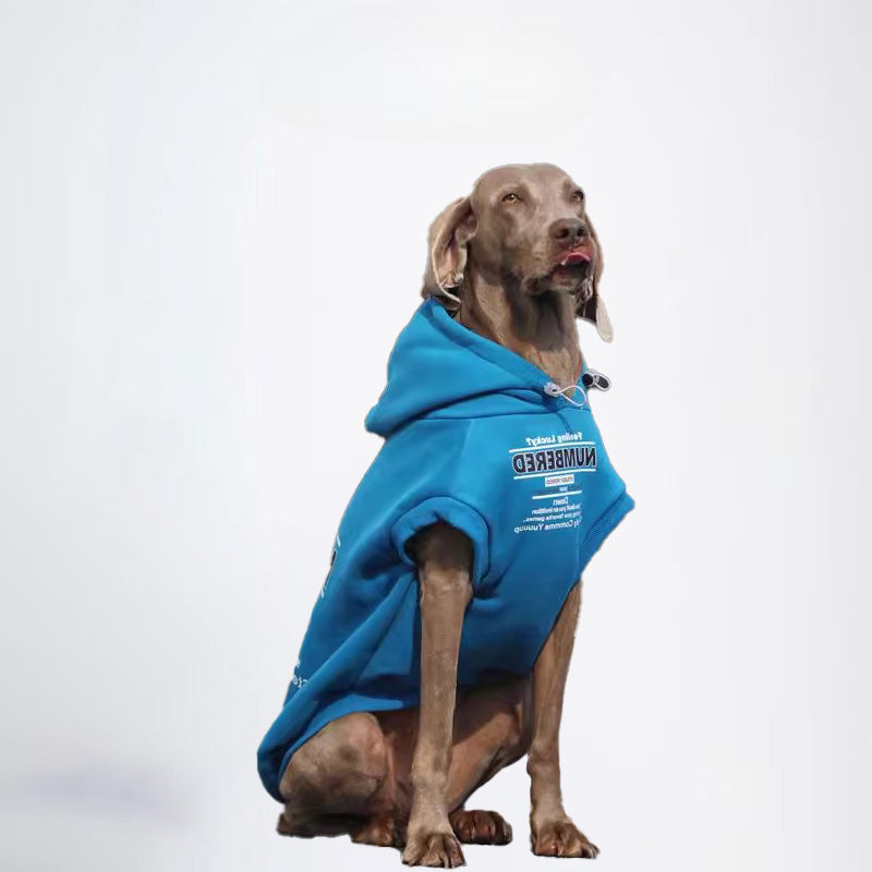 Winter Dogs Green Colored Clothes  Pets Green Clothes Dog Cloth Dog Jacket Dog Jacket Fashion Dog Cloth Fashion Pets Cloth