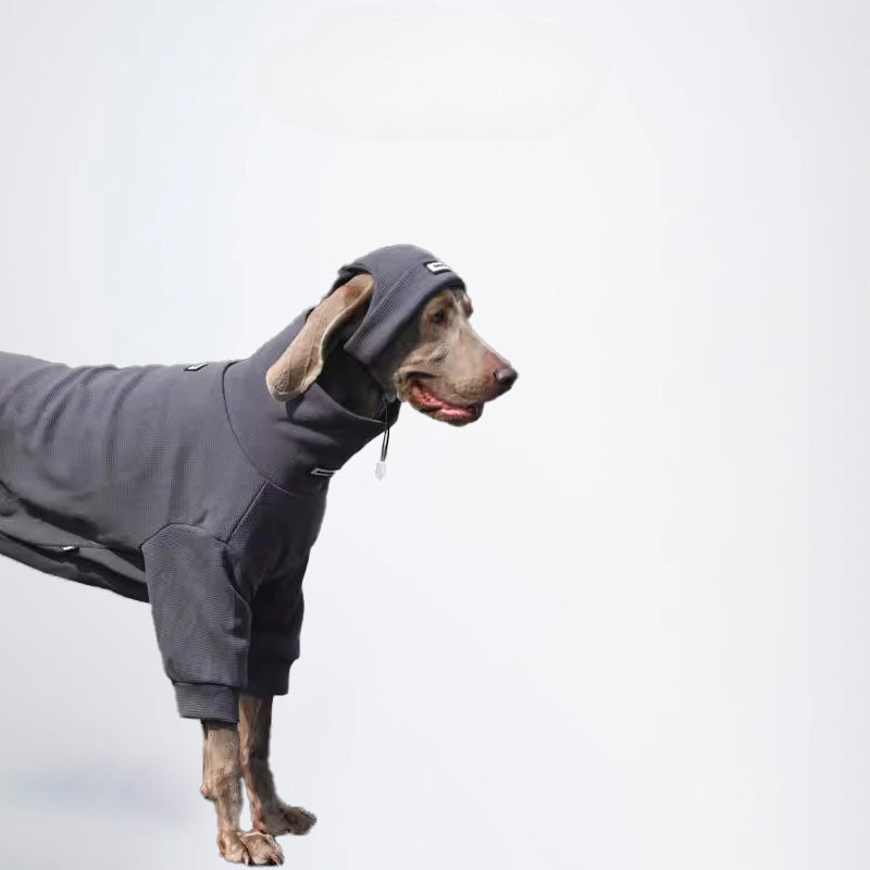 Dogs Clothes Pets Clothes Dogs Sweater Allcovered Styled Sweater Styled Deisign Fashion Designer Dogs Clothes