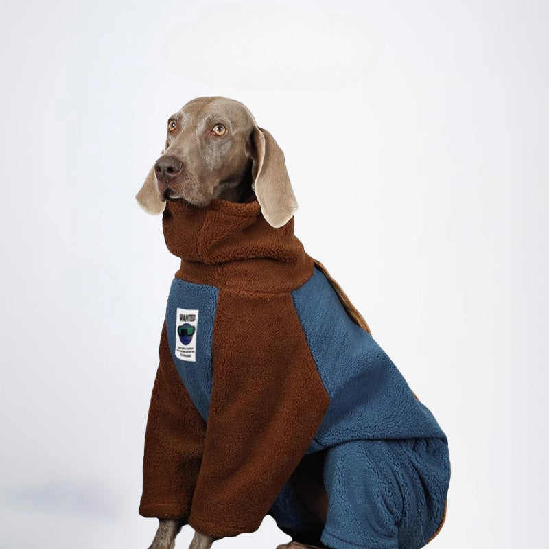 Dogs Clothes Pets Clothes Dogs Jacket Sweater Brown Sweater Winter Dogs Jackets Color All Covered Styled Deisign Fashion Designer Dogs Clothes