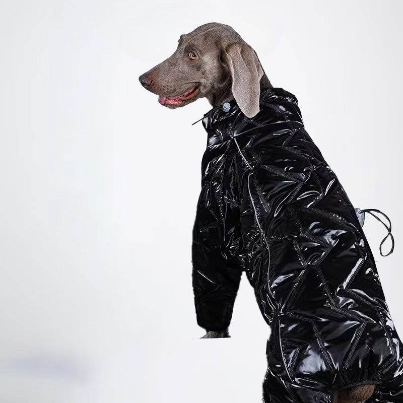 Dogs Clothes Pets Clothes For Winter Allcovered Styled Sweater Styled Deisign Fashion Designer Dogs Clothes