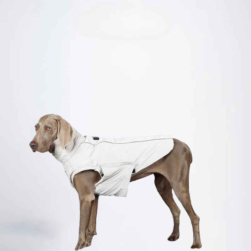 Dogs Clothes Pets Clothes Dogs White Coats For Winter Allcovered Styled Sweater Styled Deisign Fashion Designer Dogs Clothes