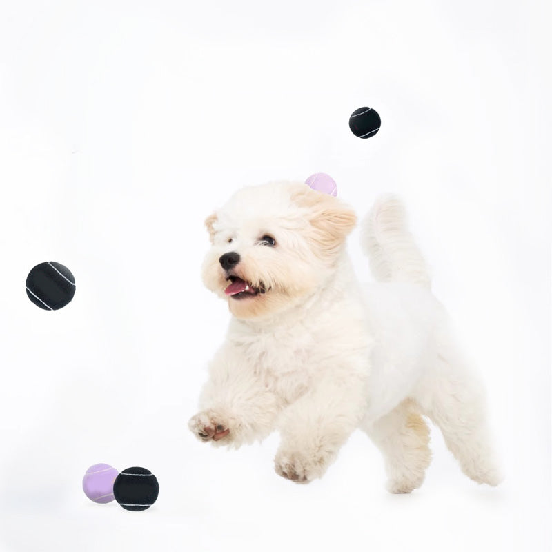 Pet sweetheart balls, unlimited fun, let pets enjoy unique deliciousness, well-made, safe and healthy