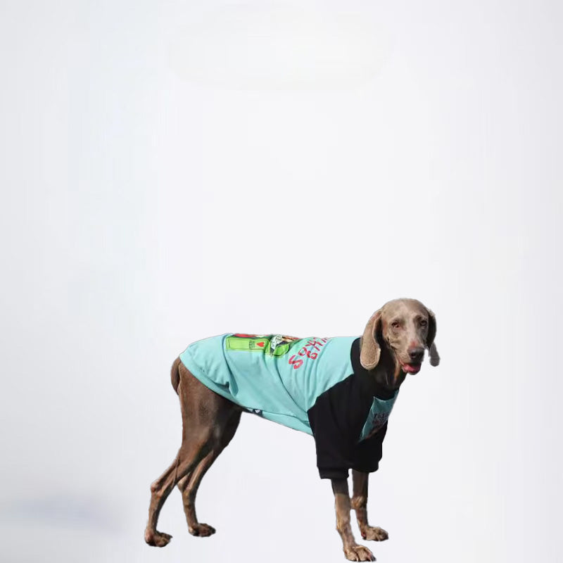 Dogs Blue Black Clothes Pets Blue Black Clothes Glossy Styled For Winter Allcovered Styled Sweater Styled Deisign Fashion Designer Dogs Clothes