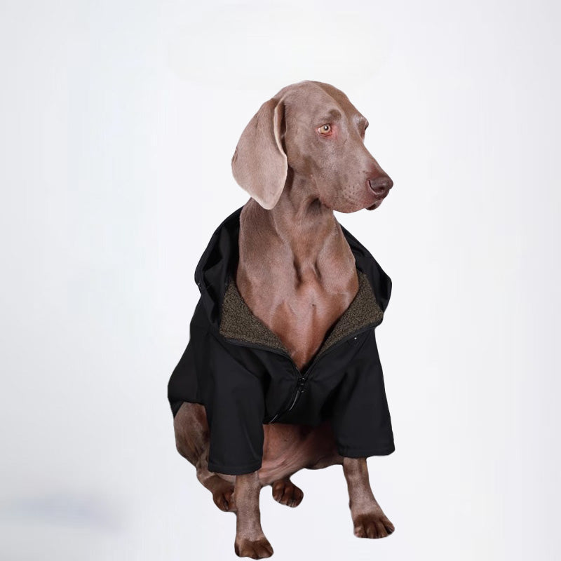 Dogs Clothes Pets Clothes Glossy Styled For Winter Allcovered Styled Sweater Styled Deisign Fashion Designer Dogs Clothes
