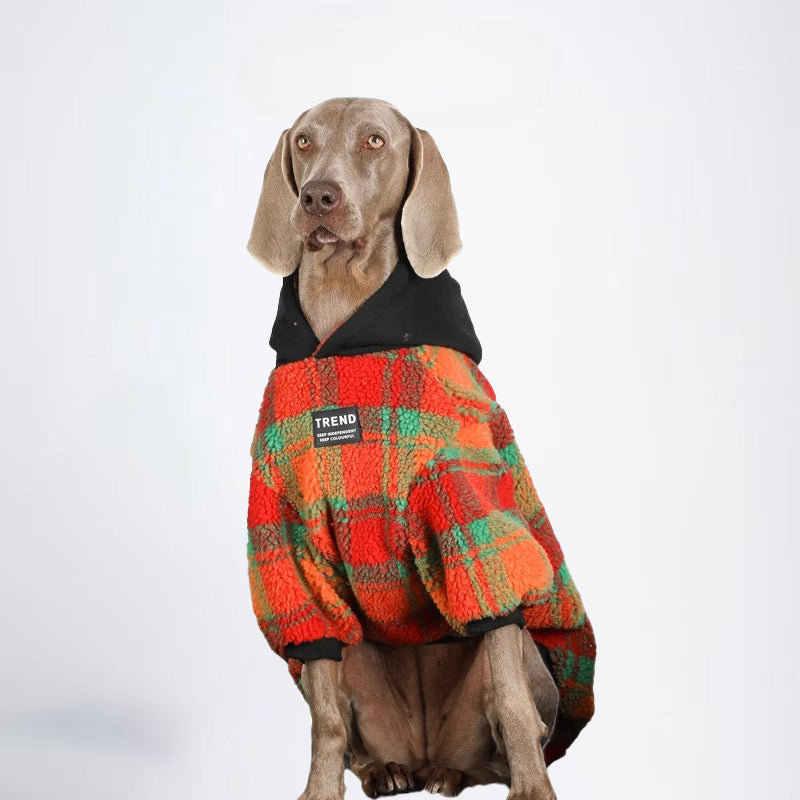 Winter Dogs Rainbow Colored Clothes  Pets Rainbow Colored Clothes Dog Cloth Dog Jacket Dog Jacket Fashion Dog Cloth Fashion Pets Cloth