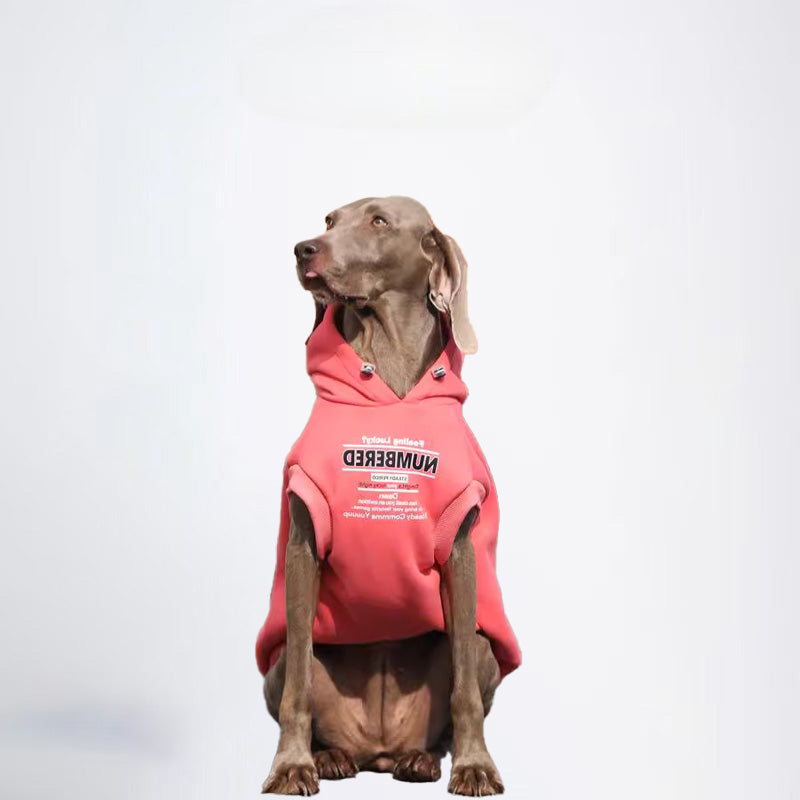 Winter Dogs Green Colored Clothes  Pets Green Clothes Dog Cloth Dog Jacket Dog Jacket Fashion Dog Cloth Fashion Pets Cloth