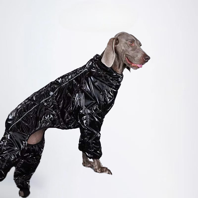 Dogs Clothes Pets Clothes For Winter Allcovered Styled Sweater Styled Deisign Fashion Designer Dogs Clothes