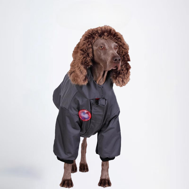 Dogs Jacket Pets Jacket  Dog Cloth Dog Cloth  All Covered Cloth Dog Clothes Dog Jacket Fashion Dog Cloth Fashion Pets Cloth