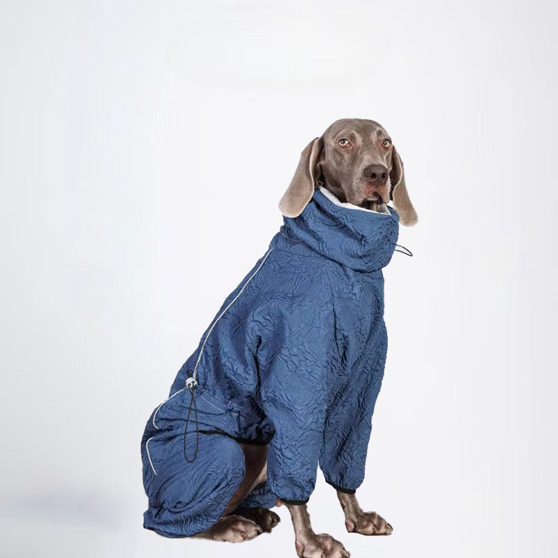 Dogs Clothes Pets Clothes Dogs Sweater Designer Styled For Winter Allcovered Styled jacket Styled Deisign Fashion Designer Dogs Clothes