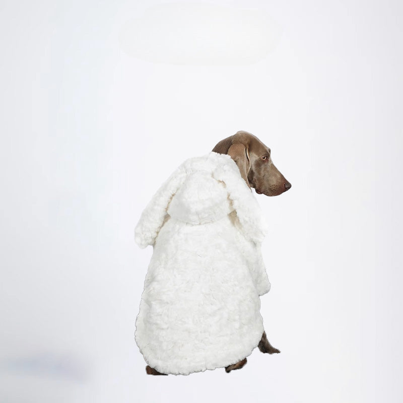 Dogs Cloth Fashion Styled Dogs Winter Clothing Bunny Rabbit Ear Styled Soft Nap Texture Winter Pets Clothes For Your Dog
