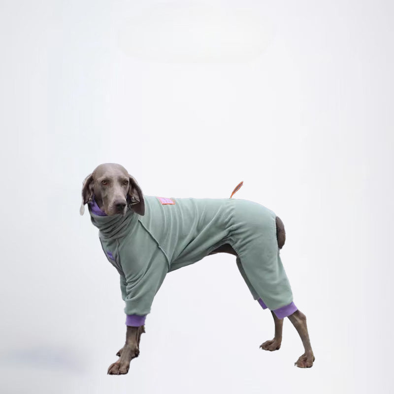 Dogs Sweatshirt Pets Sweatshirt  Dog Sweatshirt Dog Sweatshirt  All Covered Cloth  Dog Clothes Dog Jacket Fashion Dog Cloth Fashion Pets Cloth