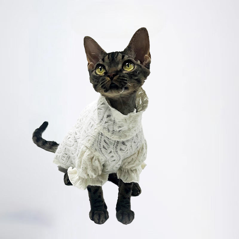 Cats Clothes Pets Cloth Pet Cloth Dog Clothes Choker Sweater White Knitwear For Cats Original Designer Styled Clothing