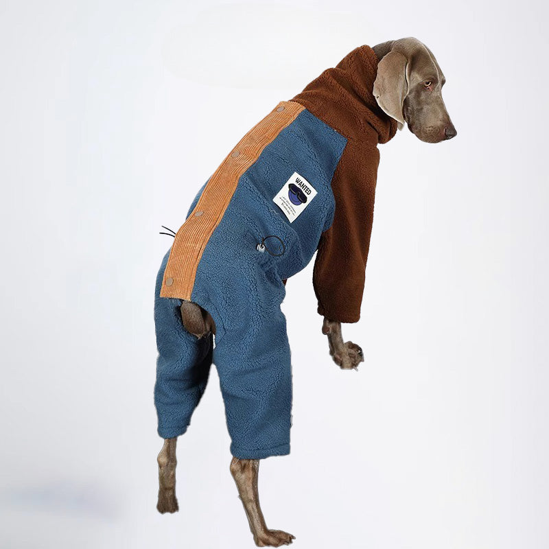 Dogs Clothes Pets Clothes Dogs Jacket Sweater Brown Sweater Winter Dogs Jackets Color All Covered Styled Deisign Fashion Designer Dogs Clothes