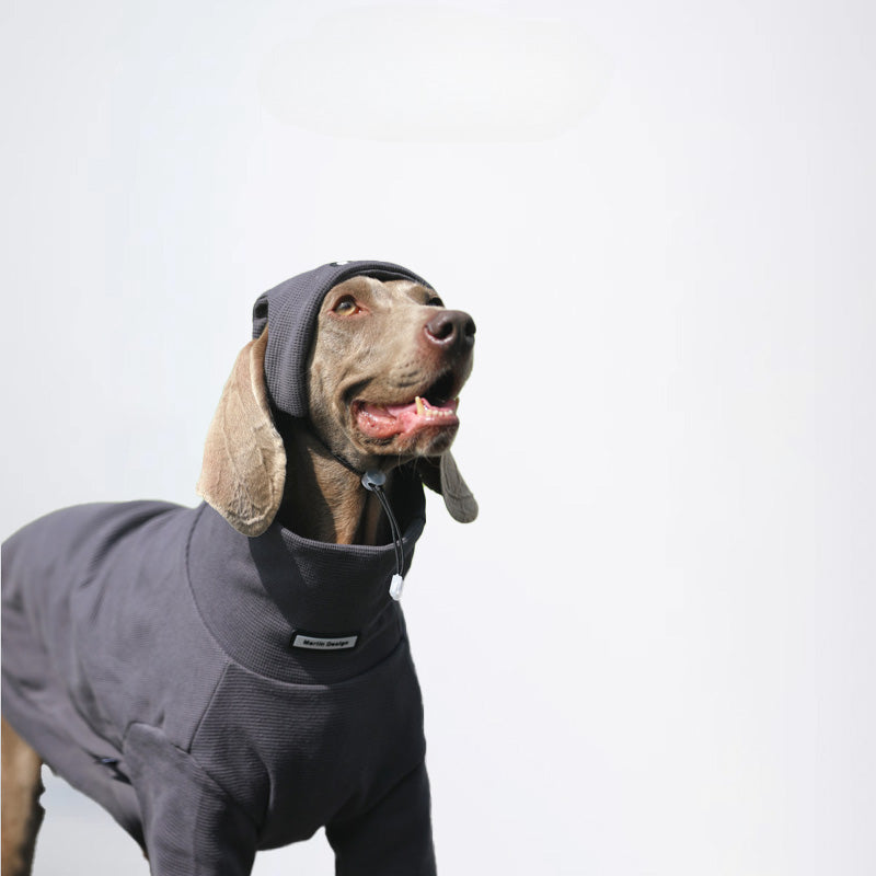 Dogs Clothes Pets Clothes Dogs Sweater Allcovered Styled Sweater Styled Deisign Fashion Designer Dogs Clothes