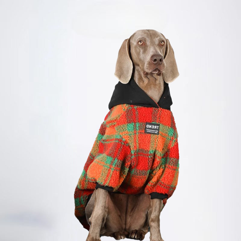 Winter Dogs Rainbow Colored Clothes  Pets Rainbow Colored Clothes Dog Cloth Dog Jacket Dog Jacket Fashion Dog Cloth Fashion Pets Cloth