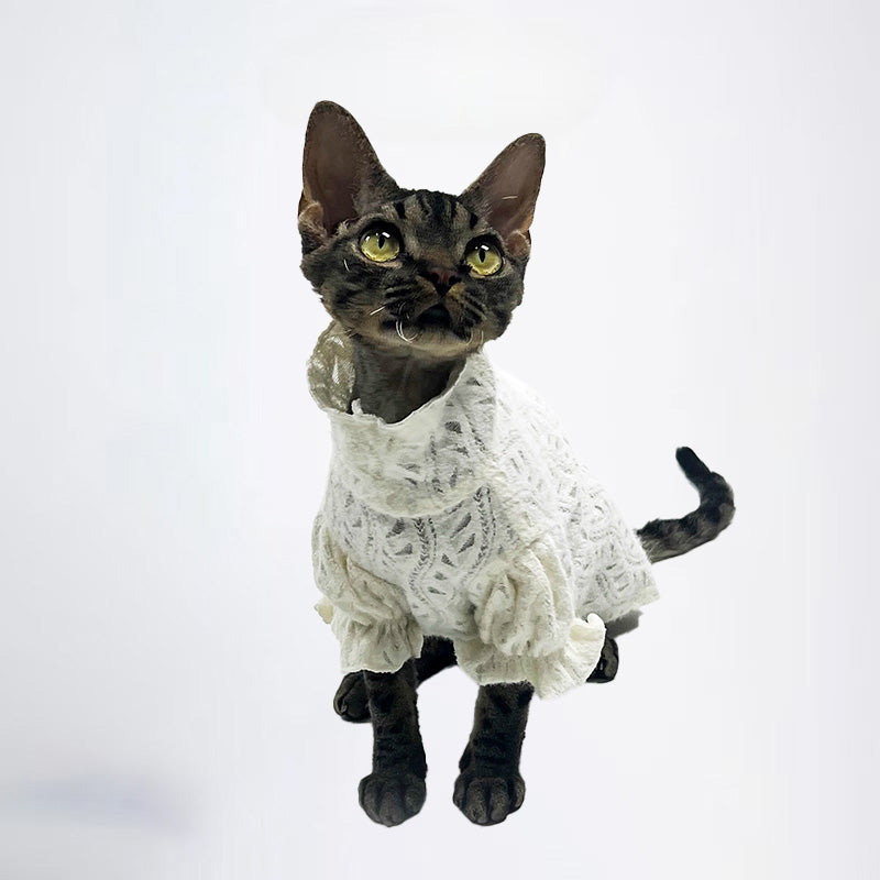 Cats Clothes Pets Cloth Pet Cloth Dog Clothes Choker Sweater White Knitwear For Cats Original Designer Styled Clothing