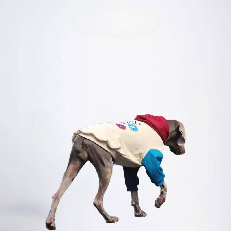 Dogs Yellow Clothes Pets Yellow Clothes Glossy Styled For Winter Allcovered Styled Sweater Styled Deisign Fashion Designer Dogs Clothes