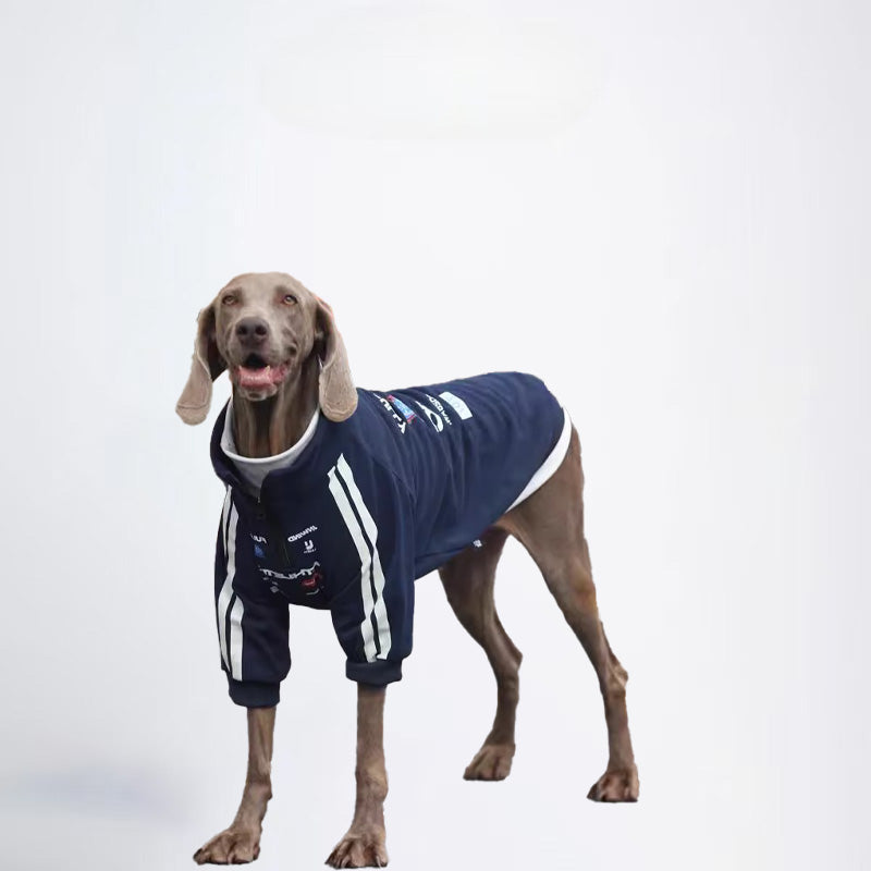 Dogs Blue Clothes Pets  Blue Clothes Glossy Styled For Winter Allcovered Styled Sweater Styled Deisign Fashion Designer Dogs Clothes