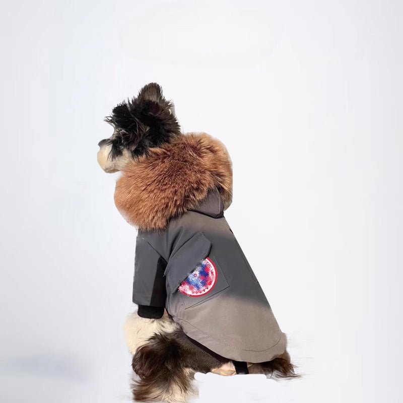 Dogs Jacket Pets Jacket  Dog Cloth Dog Cloth  All Covered Cloth Dog Clothes Dog Jacket Fashion Dog Cloth Fashion Pets Cloth